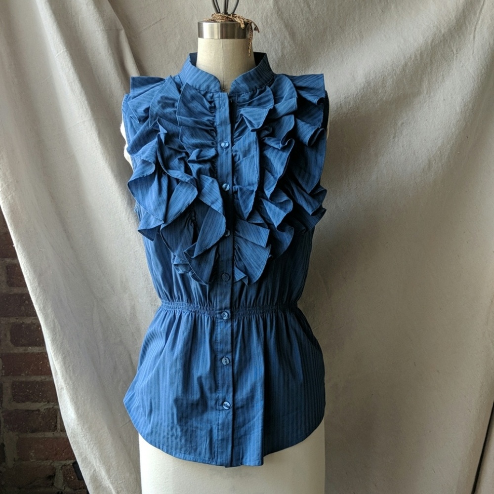Anthropologie Top Blue Robin